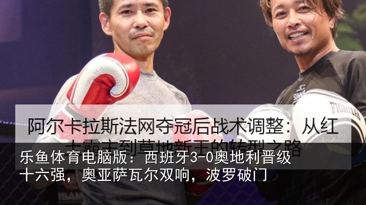 乐鱼体育电脑版：西班牙3-0奥地利晋级十六强，奥亚萨瓦尔双响，波罗破门
