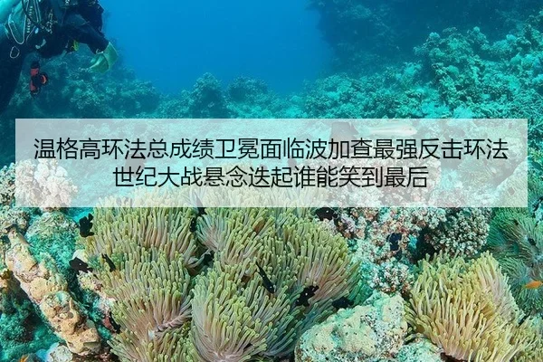 温格高环法总成绩卫冕面临波加查最强反击环法世纪大战悬念迭起谁能笑到最后