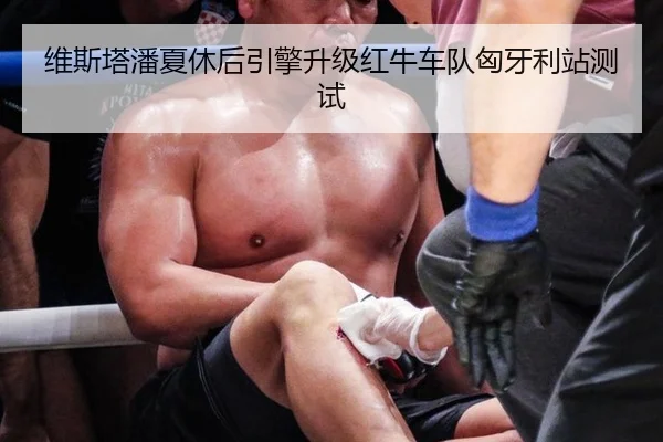 维斯塔潘夏休后引擎升级红牛车队匈牙利站测试