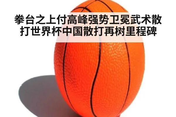 拳台之上付高峰强势卫冕武术散打世界杯中国散打再树里程碑