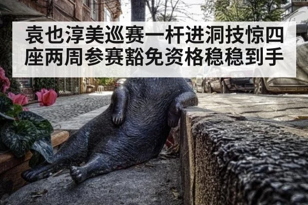 袁也淳美巡赛一杆进洞技惊四座两周参赛豁免资格稳稳到手